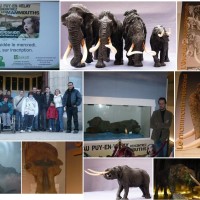 PhotoMontage de l'expo du musée Crozatier